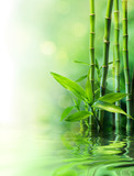 Fototapeta Sypialnia - bamboo stalks on water - blurs