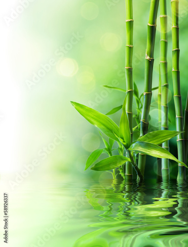 Foto-Banner aus PVC - bamboo stalks on water - blurs (von Romolo Tavani)