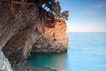 Coastal Rocks With Pine Trees Growing On It. Adriatic Sea