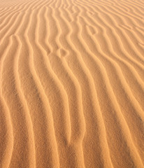  Red Sand Dunes in Vietnam