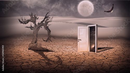 Fotografie, Obraz Open doorway show a somehow semitransparent space scene in stran