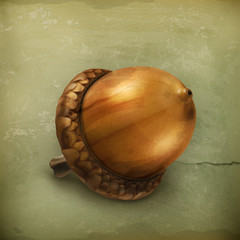 Wall Mural - acorn old style vector