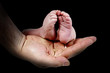 Babys foots in father hands on the monochrome background