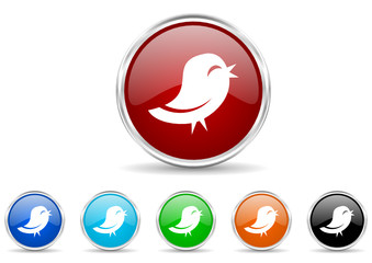 Poster - twitter icon vector set