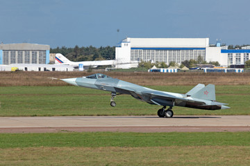 Wall Mural - Landing modern fighter