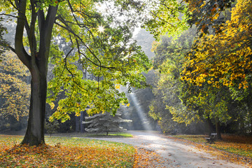 Wall Mural - Path in the autumn park. Autumn Landscape. Park in Autumn.