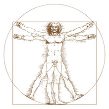 Vitruvian Man By Leonardo Da Vinci