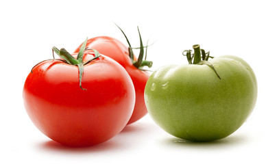 Wall Mural - Red and green tomatoes