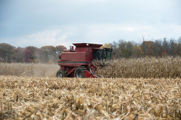 Wall Mural - Combining corn field