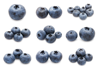 Sticker - Blueberry set