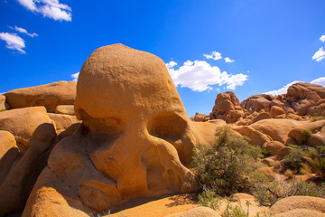 Wall Mural - Skull rock in Joshua tree National Park Mohave California