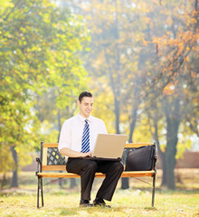 Poster - Young businessman sitting on a bench and working on a laptop in