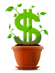 Wall Mural - Growing dollar symbol like plant with leaves in flower pot