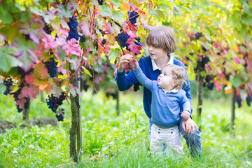 Wall Mural - Adorable baby girl and her cute brother playing in a vineyard