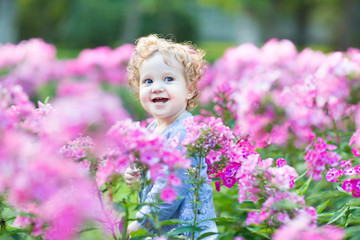 Wall Mural - Curly baby girl with blue eyes in a field of flowers