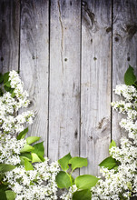  Lilac On A Wooden Surface/ Spring Flower Background