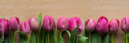 Naklejka na szybę Pink tulips panorama
