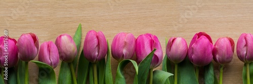 Naklejka nad blat kuchenny Pink tulips panorama