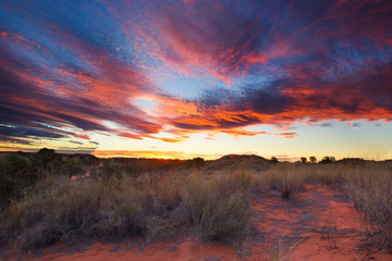 beautiful kalahari sunset with dramatic clouds and grass