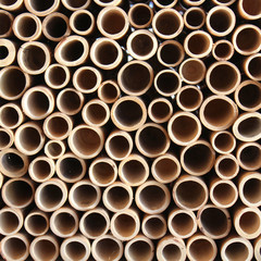 Fototapete - Bamboo wall