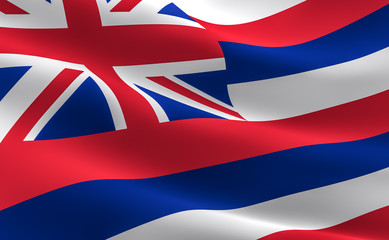 Wall Mural - Flag of Hawaii State