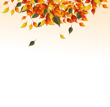 Background Of Autumn Leaves.