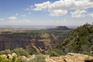 Wall Mural - desert view,  le Grand Canyon, Arizona