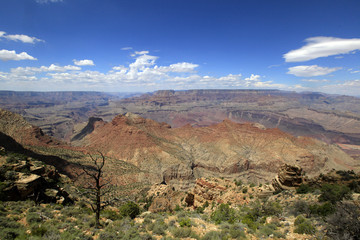 Canvas Print - desert view,  le Grand Canyon, Arizona