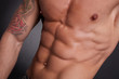 © Stocked House Studio - male torso