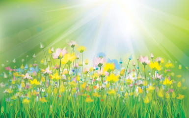 Wall Mural - vector sunshine background with colorful flowers.