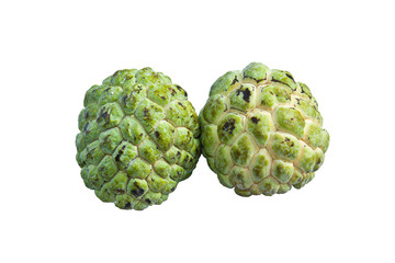 Custard apple, Fruit Thailand