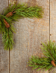 Wall Mural - Pine branches