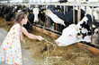 © Pavel Losevsky - Cute little girl in dress gives hay for cow in long stall.