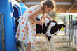 © Pavel Losevsky - Happy little girlcaresses small calf at cow farm at summer day.