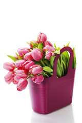 Poster - Pink tulips