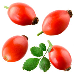 Wall Mural - Rose hip isolated on a white. Collection
