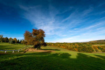 Wall Mural - picturesque landscape