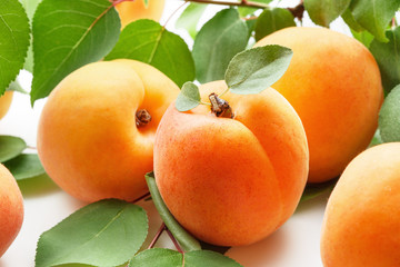 Wall Mural - Fresh apricots