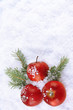 Red apples with fir branches in snow close up