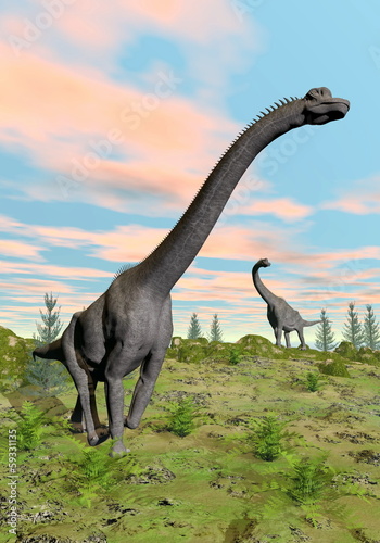 Obraz w ramie Brachiosaurus dinosaurs - 3D render