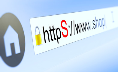 browser bar with https typed in, padlock and shop domain name