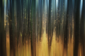 Naklejka na meble Abstrakcyjny jesienny las
