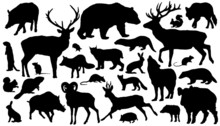 Forest_animal_silhouettes