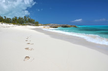 Footprints On The Desrt Beach Of Little Exuma, Bahamas