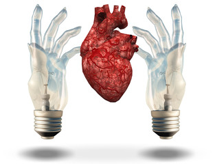 Sticker - Two hand shaped light bulbs frame human heart