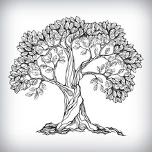 Hand Drawn Tree Symbol