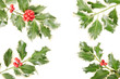 Holly twig border on white, clipping path