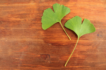 Ginkgo biloba leaves on wooden background