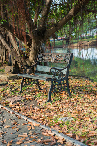 Obraz w ramie bench in the park