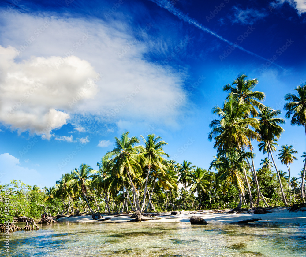 Foto-Kissen - Tropical beach with palms and mangroves